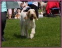 28-07-12 M GoodAsGold_IMG_8008